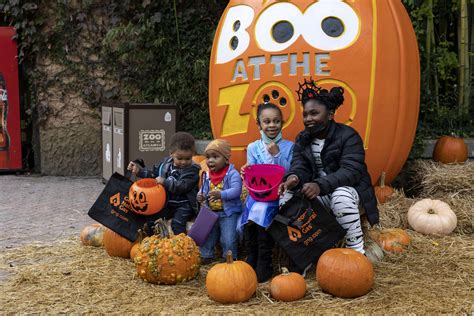 Boo At The Zoo