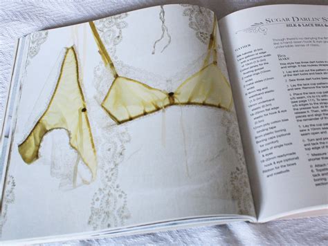 Book Review The Secrets Of Sewing Lingerie By Katherine Sheers And