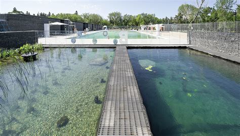 Borden Park Natural Swimming Pool To Open Wednesday Edmonton