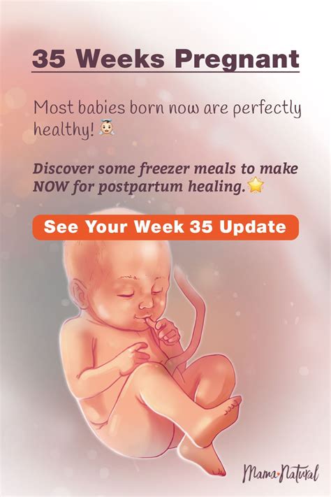 Born At 35 Weeks: Healthy Development Tips