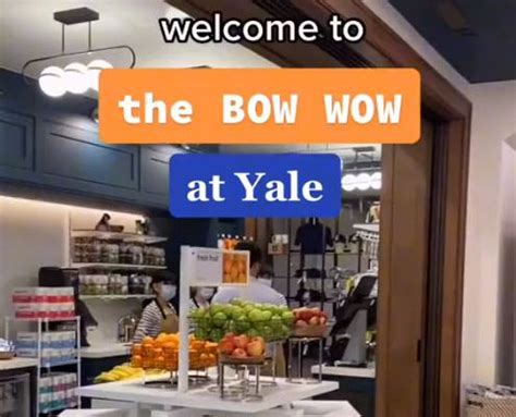 Bow Wow Yale: Insider Admission Tips