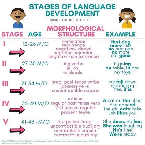 Brown S Stages Of Language Development