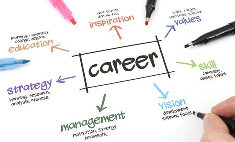 Bu Career Paths: Launch Your Dream Job