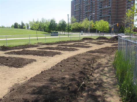 Build A Garden At Neilson Park In Toronto On As Apart Of A Community