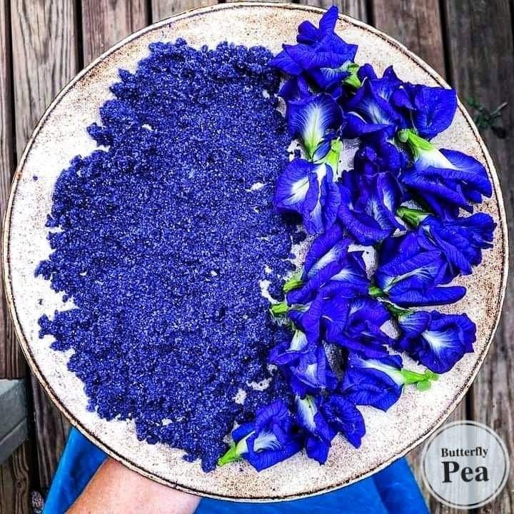 Butterfly Pea Blue Pea Vine Seeds Clitoria Ternatea Price 2 65