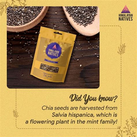 Buy Chia Seeds Online At Best Prices In India