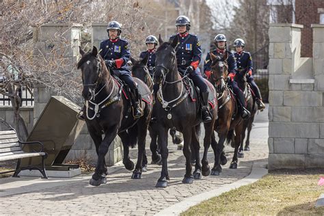 Calgary Police Service Mounted Unit Badge Ceremony Livewire Calgary