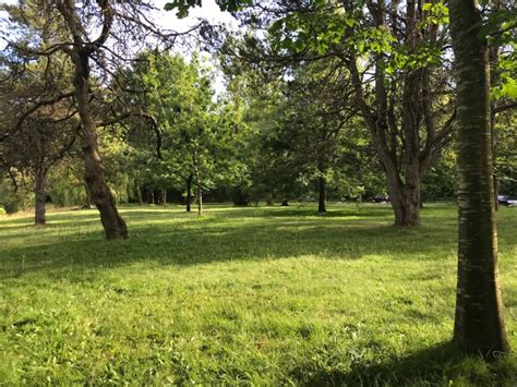 Camosun Park Vancouver