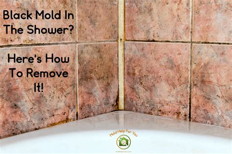 Can Amp 39 T Get Rid Of Mold In Shower At Rafael Gilliam Blog