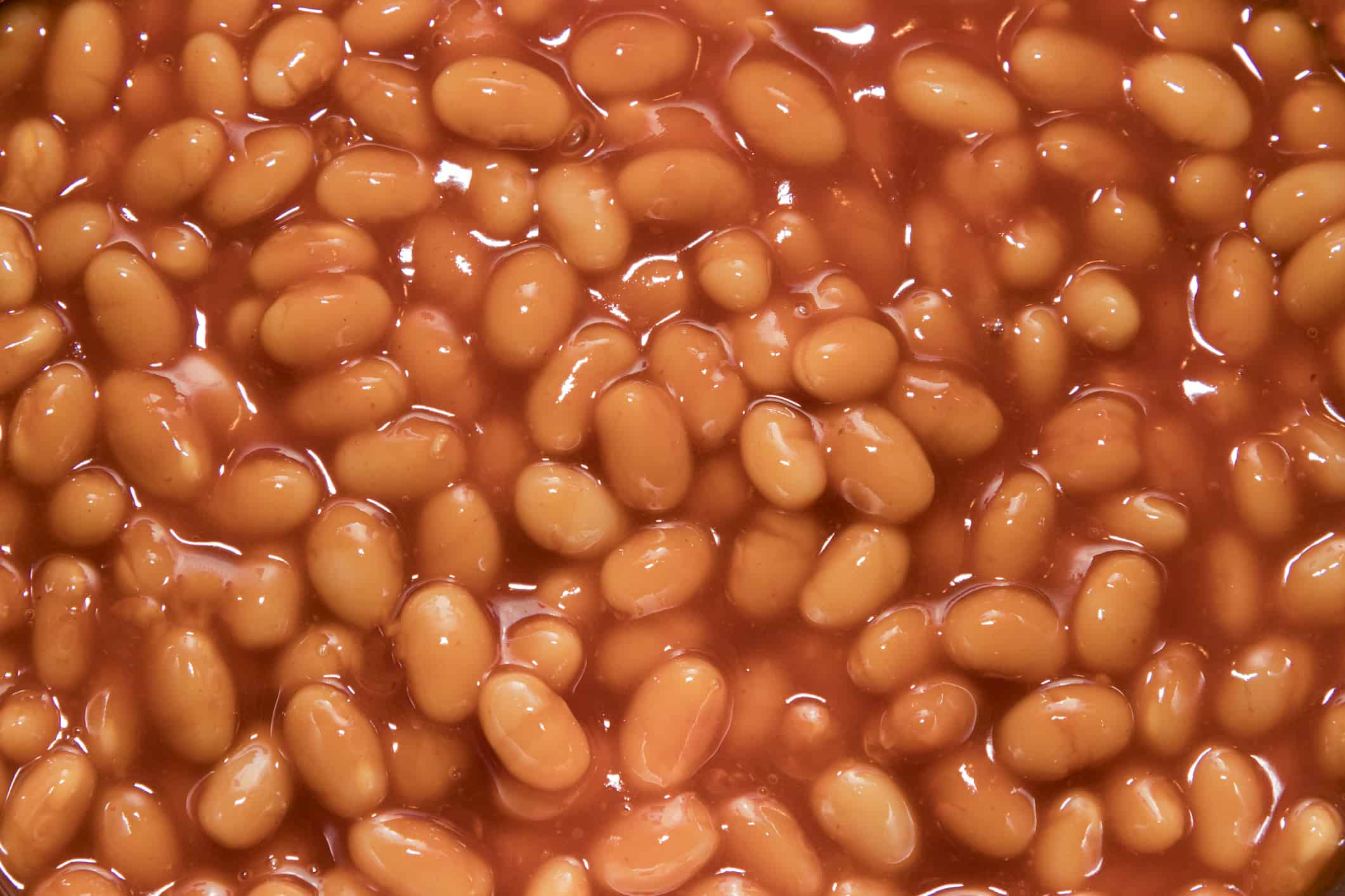 Can Dogs Eat Baked Beans A Z Animals