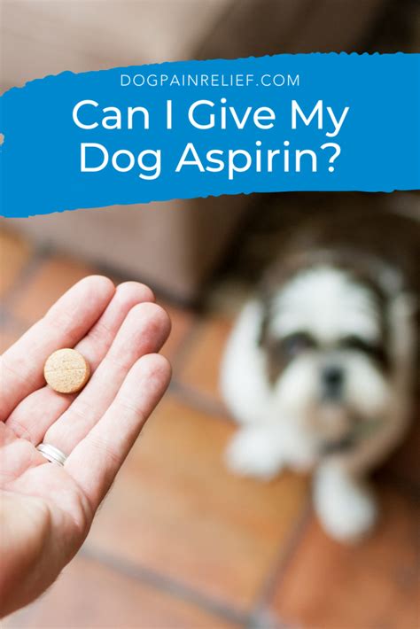 Can I Give My Dog Aspirin For A Fever