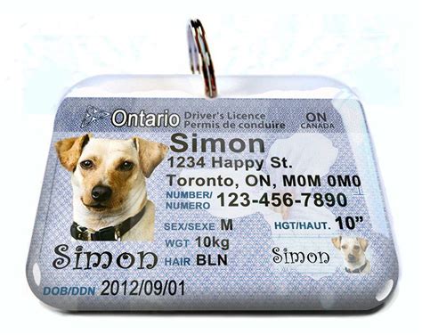 Canada Driver License Ontario Personalized Custom Id Tags For Dogs Cats