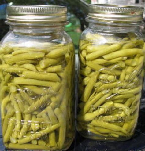 Canning Green Beans Simplified: Easy Preservation