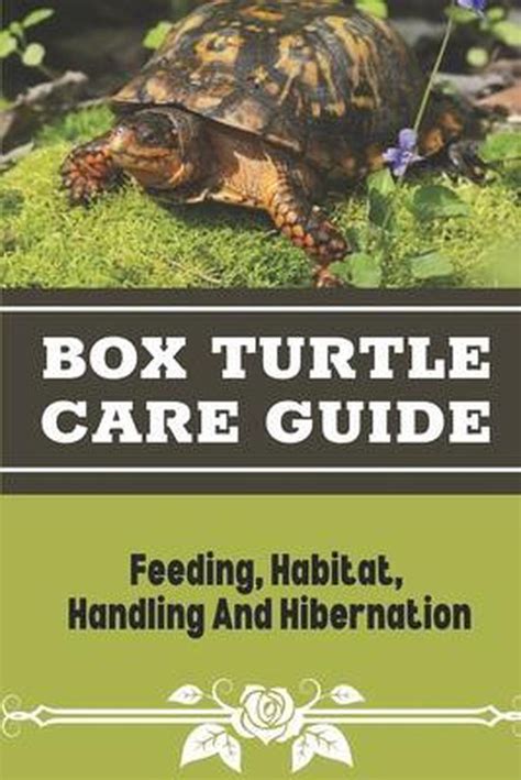 Care Guide For Box Turtles Feeding Habitat Handling Hibernation