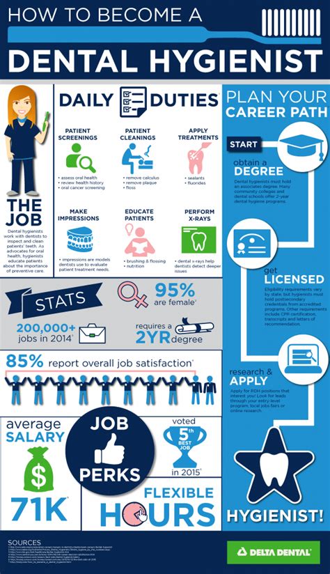 Careers In Dental Hygiene Infographic