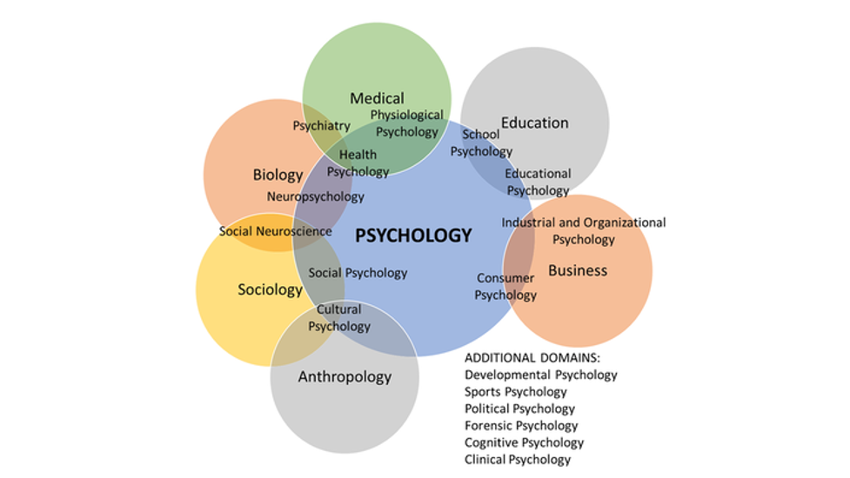 Careers In Psychology Wtamu