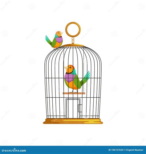 Cartoon Couple Of Multi Colored Tropical Birds Antique Hanging Cage