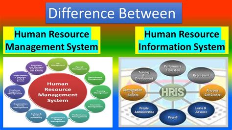 Case Study On Human Resource Information System Human Resource