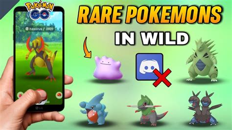 Catch Rare Pokemons In Wild How To Get Rare Pokemons In Pokemon Go