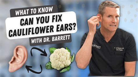 Cauliflower Ear Treatment: Heal Your Dog Fast