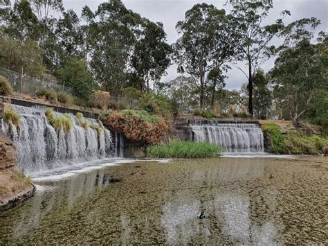 Central Gardens Nature Reserve Merrylands Updated 2021 All You Need