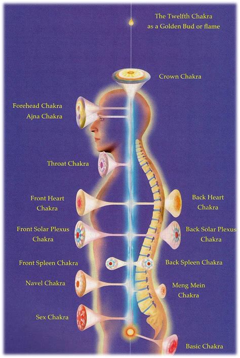 Chakras Pranic Healing Energy Healing Reiki Healing