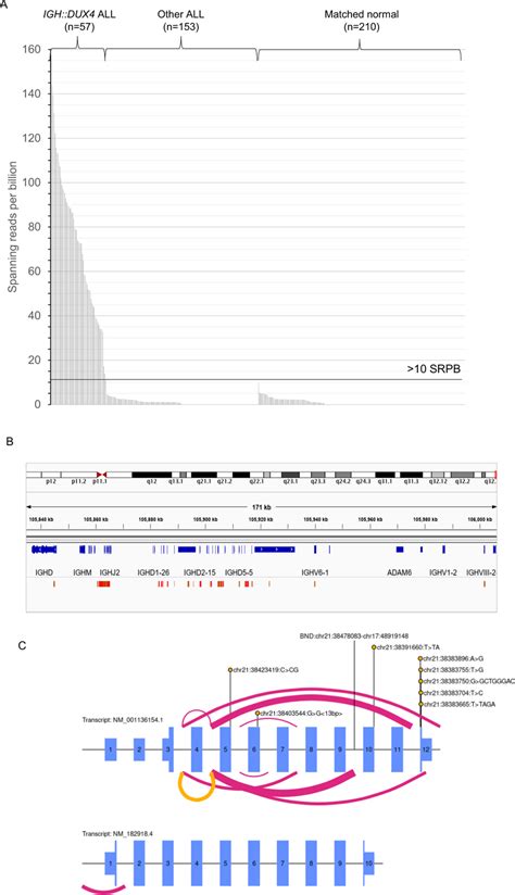 Characterisation Of Dux4 R Patients A Spanning Reads Per Billion Srpb