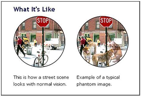 Charles Bonner Circle A: Mastering Concepts