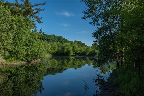 Charles Sauriol Conservation Area June 2020 Miles Hearn