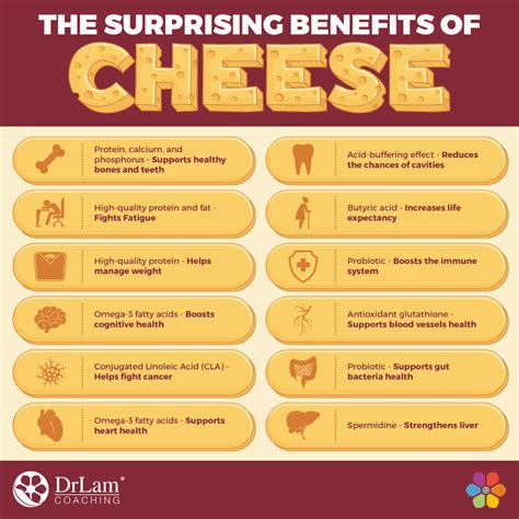 Cheese Guide: Nutritional Benefits