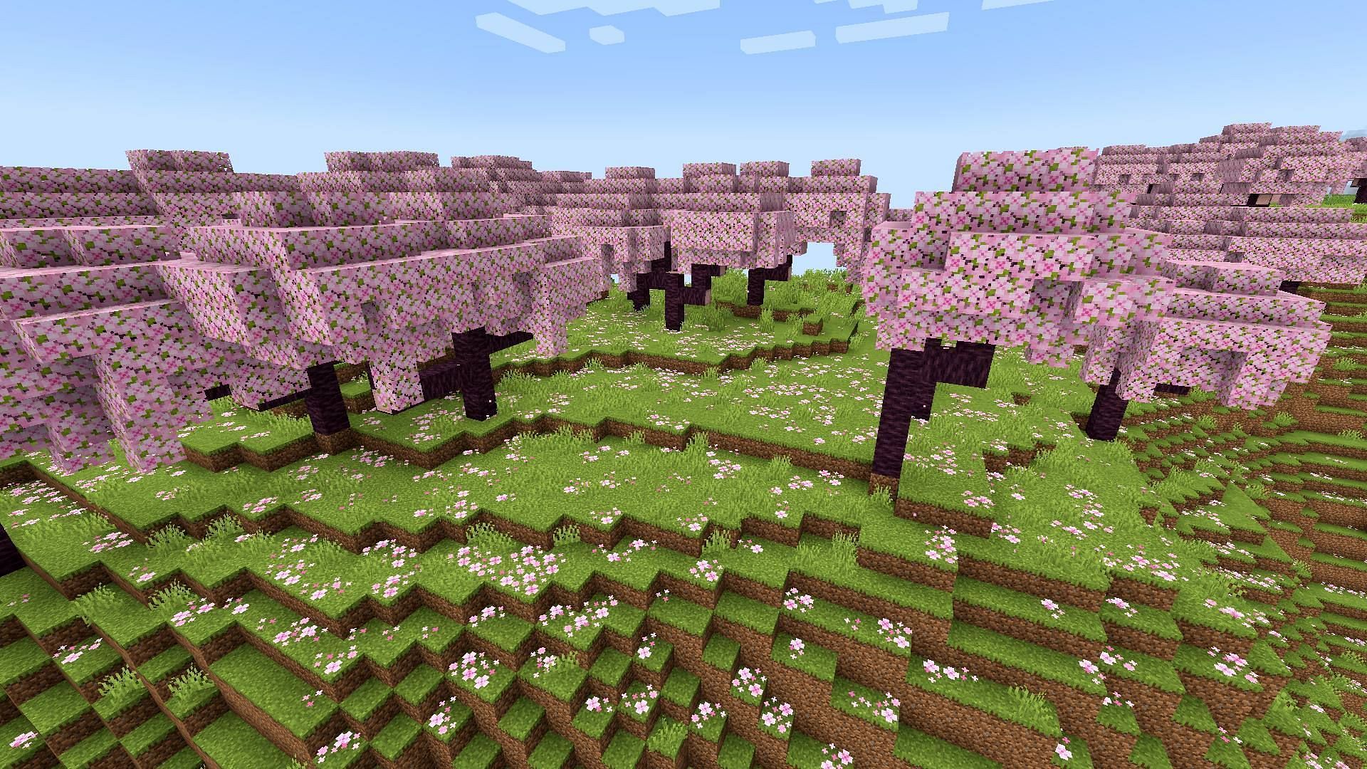 Cherry Grove Biome In Minecraft 1 20 Update All You Need To Know