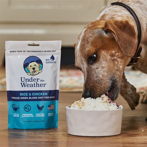 Chicken Rice Bland Diet For Dogs Under The Weather