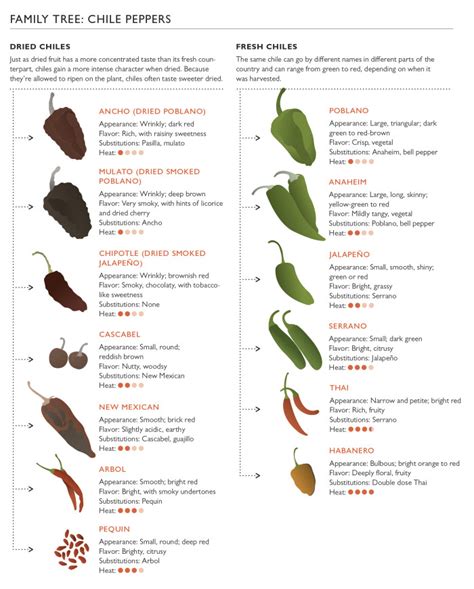 Chili Guide: Perfect Blend Every Time