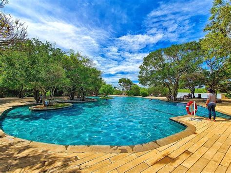 Cinnamon Wild Yala Hotel: Luxury Safari Experience