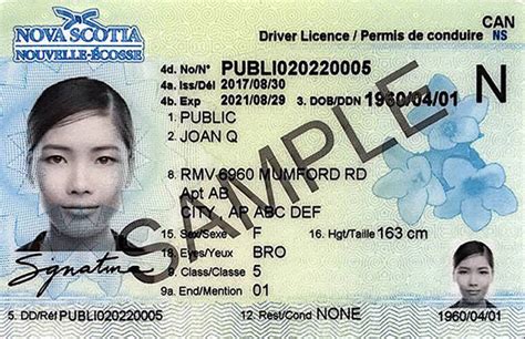 Class Seven Drivers License