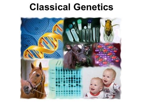 Classical Genetics