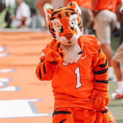 Clemson Mascot Facts: Know The Tiger