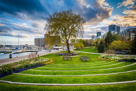 Cloud Gardens: Serene Green Space In Downtown Toronto