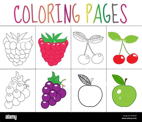 Coloring Book Page Set Fruits Collection Sketch And Color Version