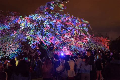 Colourful Morning Of Water Sport Activities Lights Up Queen S Park