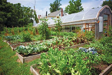 Community Garden Cultivates Organic Produce For Bridgeton S Farmworkers