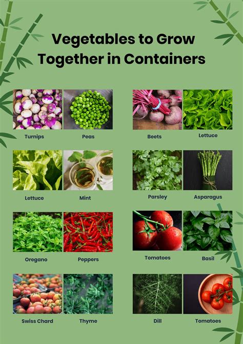 Companion Garden Plants Chart Fasci Garden