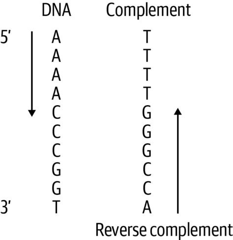 Complement And Reverse