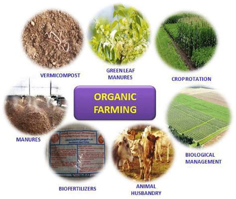 Components Of Organic Farming Download Scientific Diagram