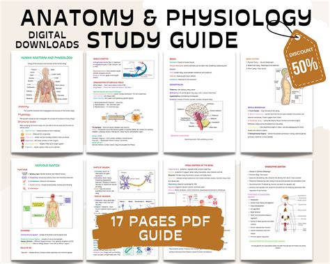 Comprehensive Uf Physiology Guide: Learn Anywhere