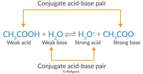 Conjugate Acid Base: Boost Chemistry Knowledge