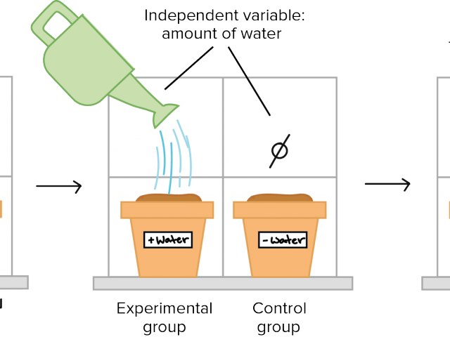 Controlled Experiment Clip Art