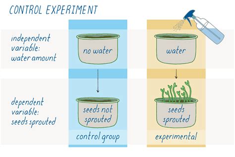 Controlled Experiment Guide: Optimized Results