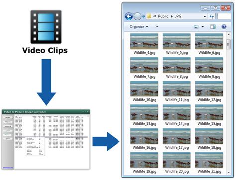 Convert Video To Frame By Frame Images The Meta Pictures