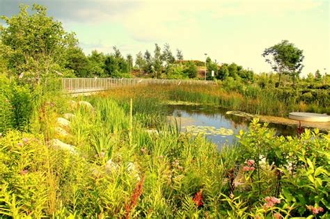 Corktown Common Park Sustainability Resilience